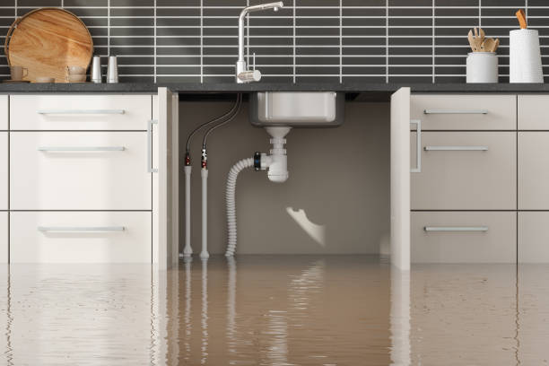 Best Structural Drying Services in Marcus, IA