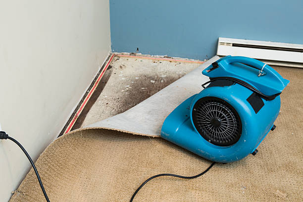 Best Storm and Flood Water Damage Restoration in Marcus, IA